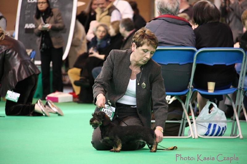 Crufts2011_2 1139.jpg